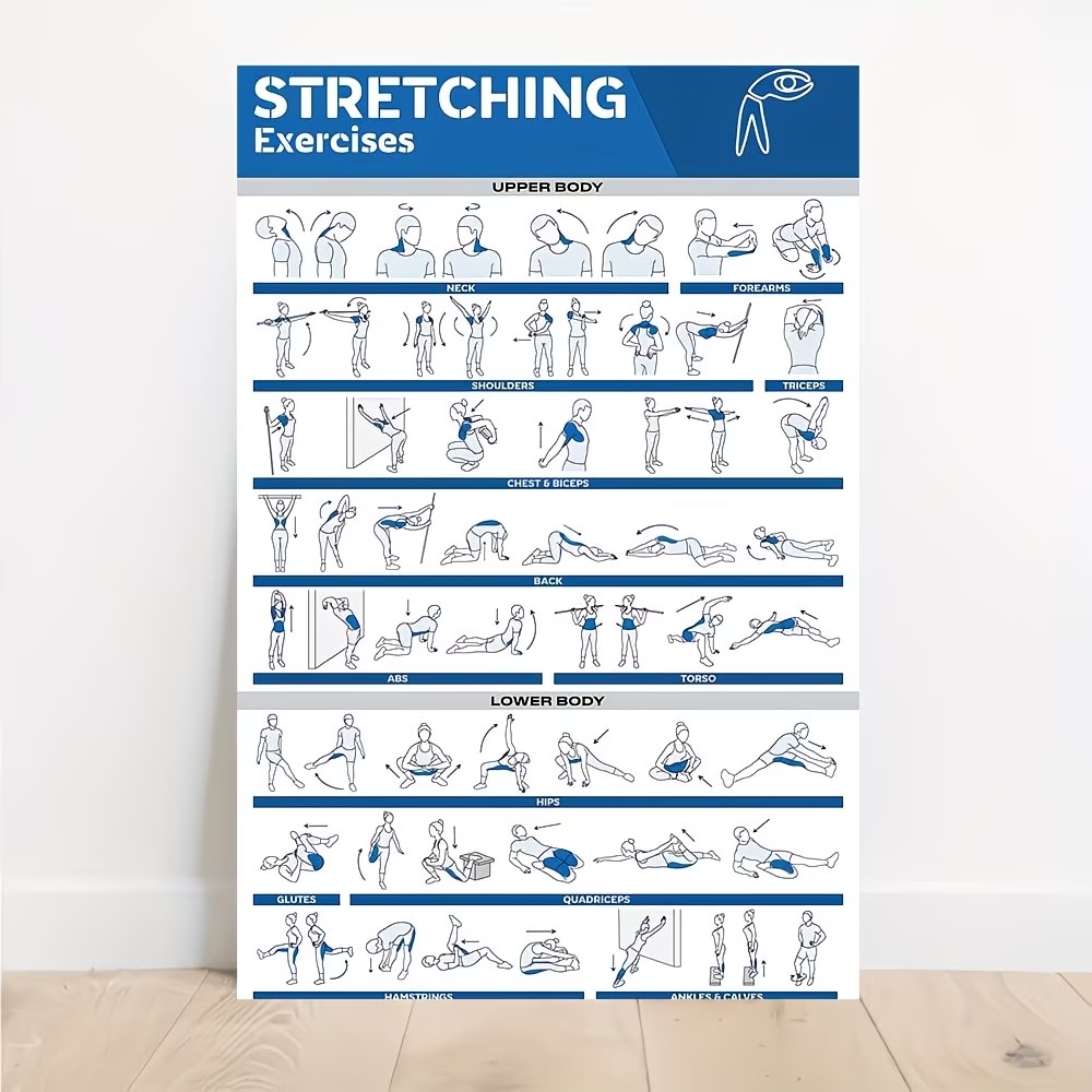 Home Gym Room - Modern Etiketli Tam Vücut Germe Egzersizleri