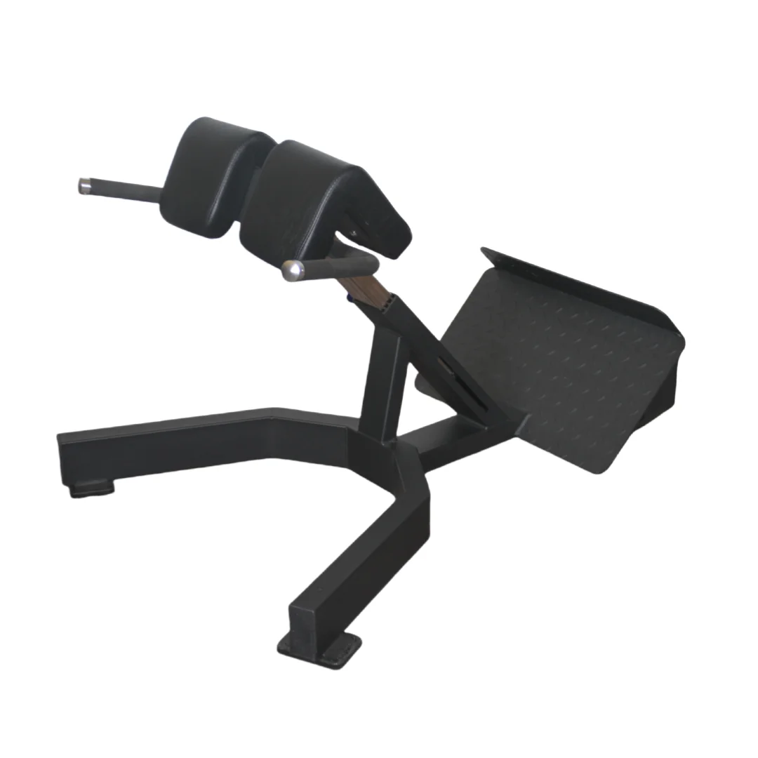 Home Gym Leg Extension - Fabrika Fiyatlı Roman Sandalye Sırt Ekstansiyon