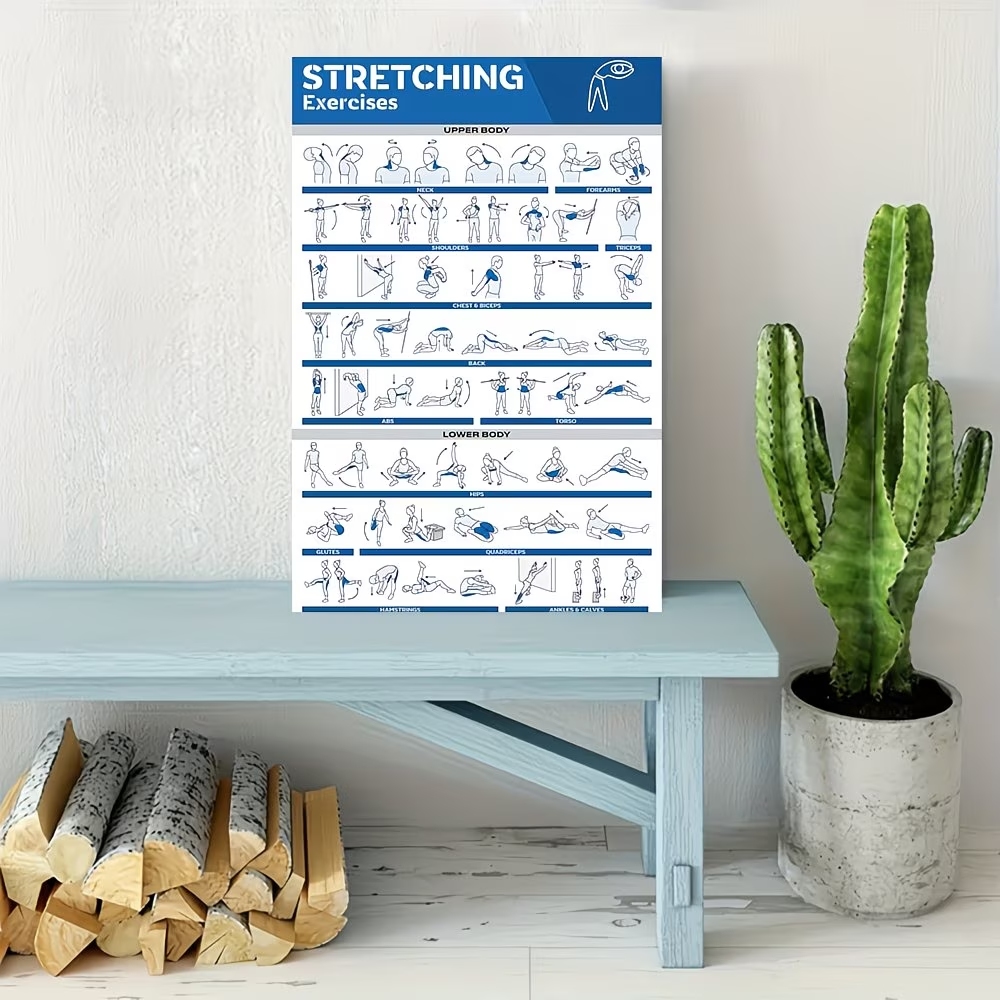 Modern Etiketli Tam Vücut Germ - Home Gym Room incelemesi ve fiyatı