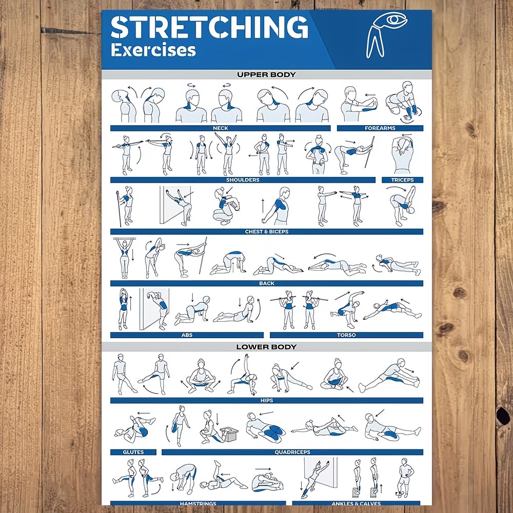 Modern Etiketli Tam Vücut Germ - Home Gym Room incelemesi ve fiyatı